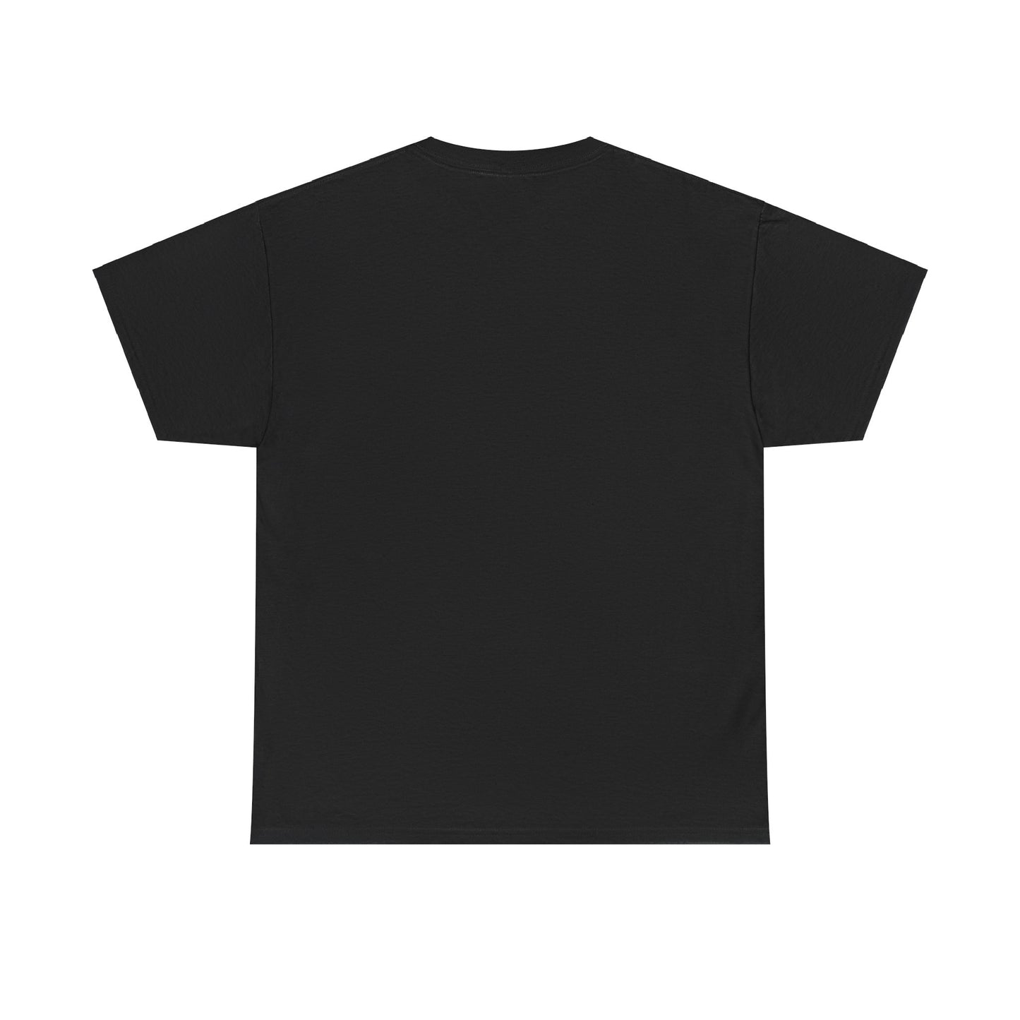 I Studied Bro Heavyweight Tee